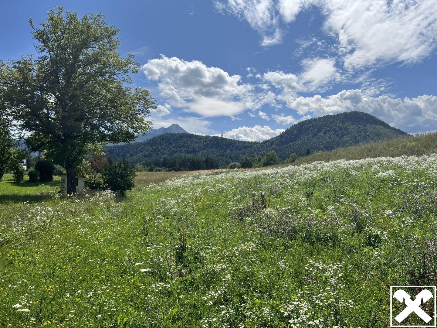 Grundstück in Rosegg: Waldrand mit unverbaubarem Panoramablick