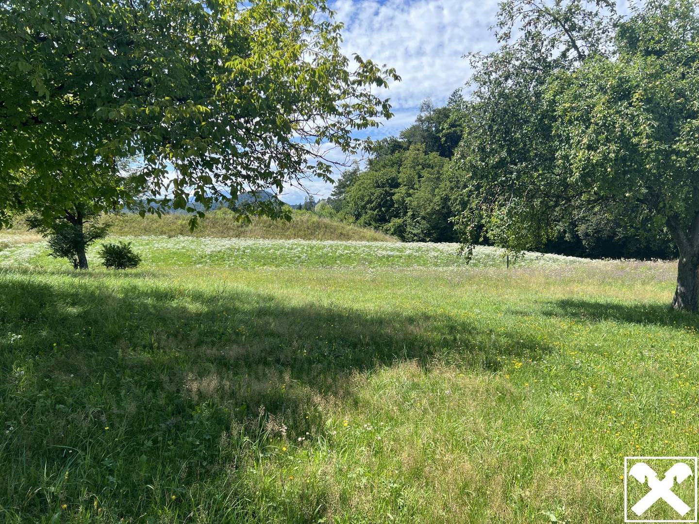 Grundstück in Rosegg: Waldrand mit unverbaubarem Panoramablick