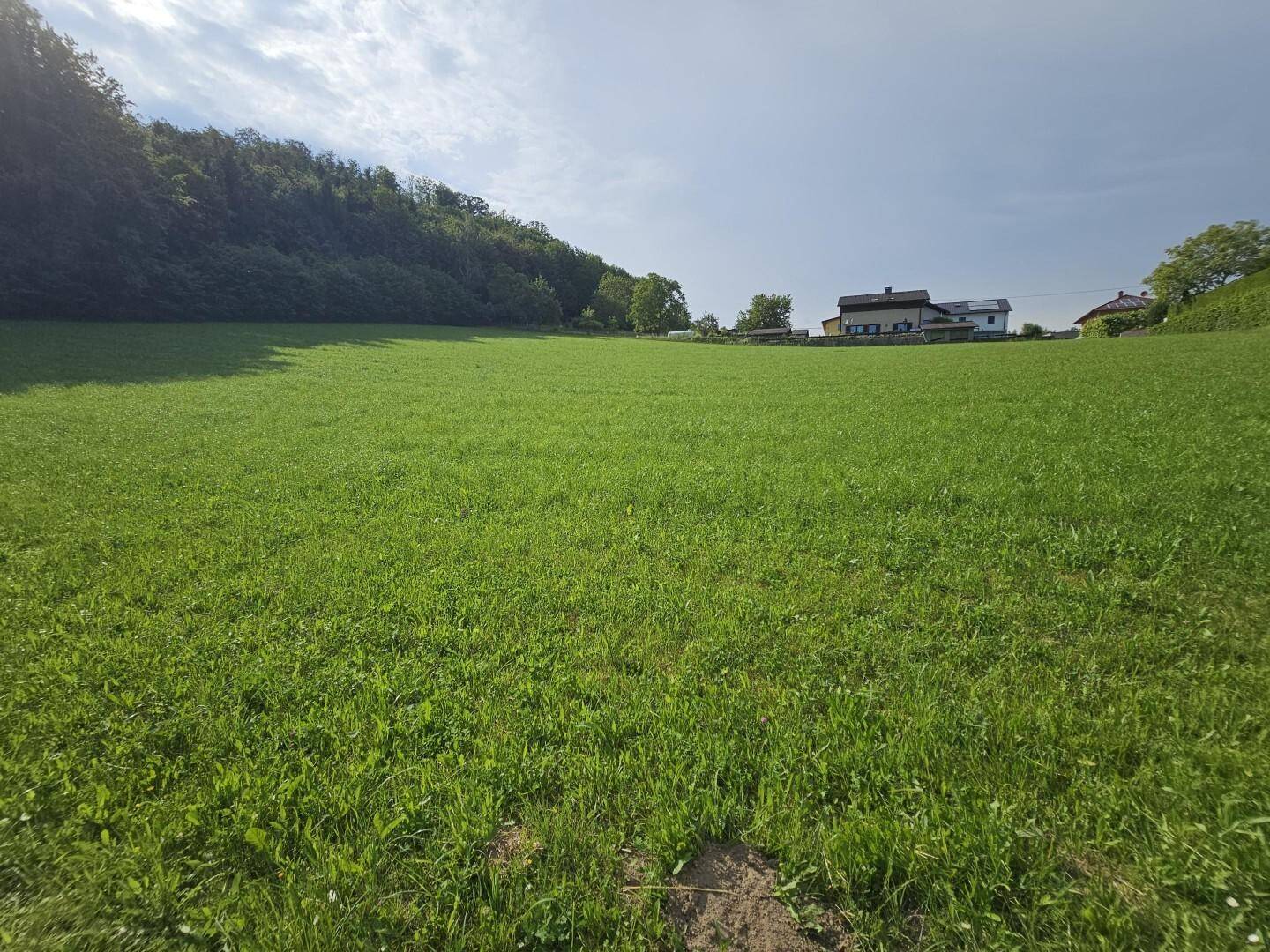 Großzügiges Baulandareal in Altlichtenberg bei Linz, 6.719 m²