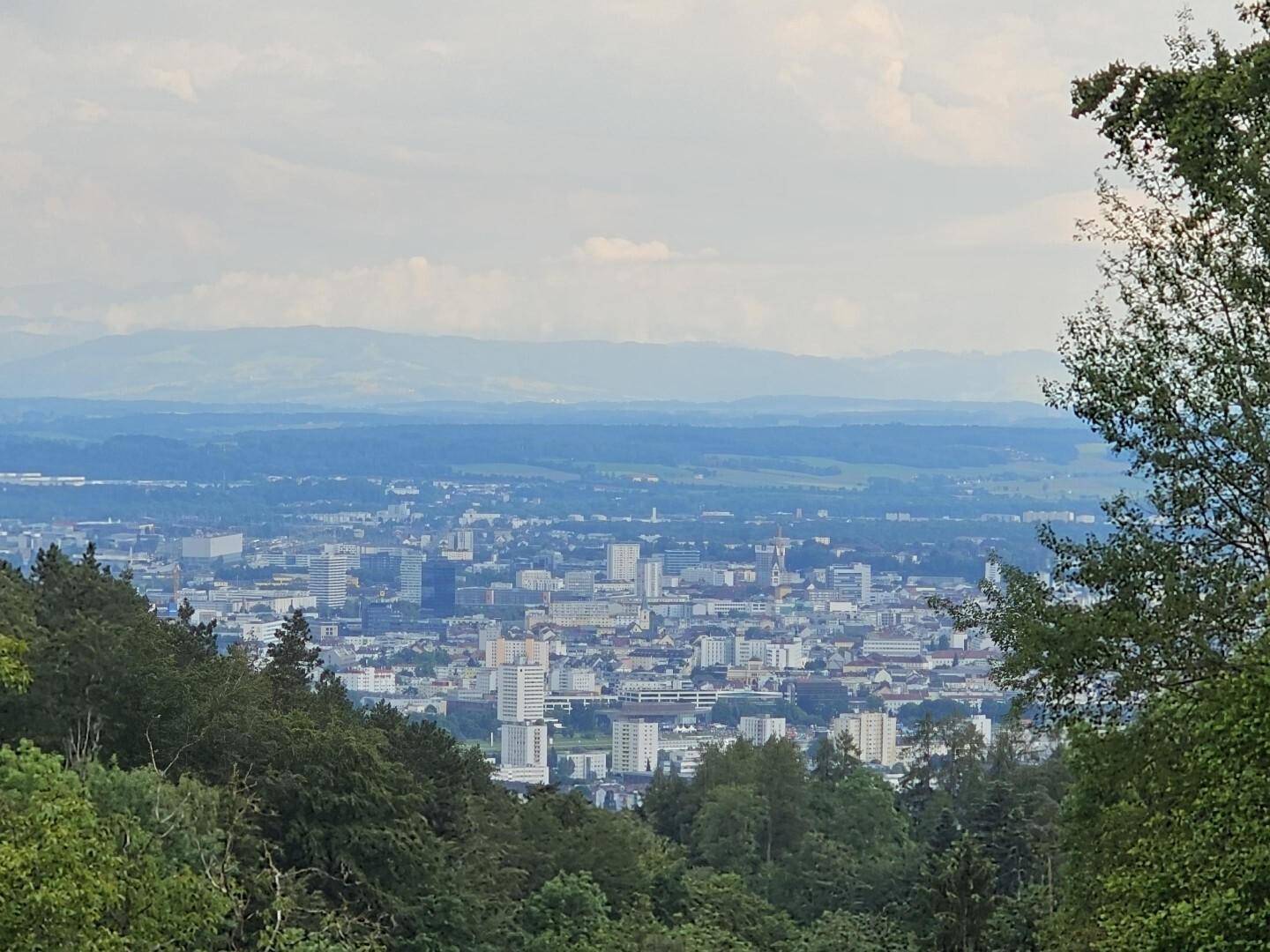 Großzügiges Baulandareal in Altlichtenberg bei Linz, 6.719 m²