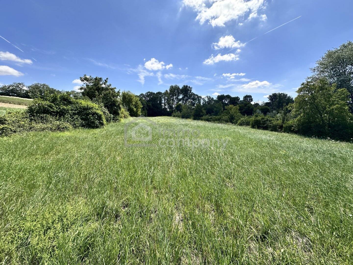 Grünland-Grundstück mit Fischteich in Prellenkirchen, 18.064 m²