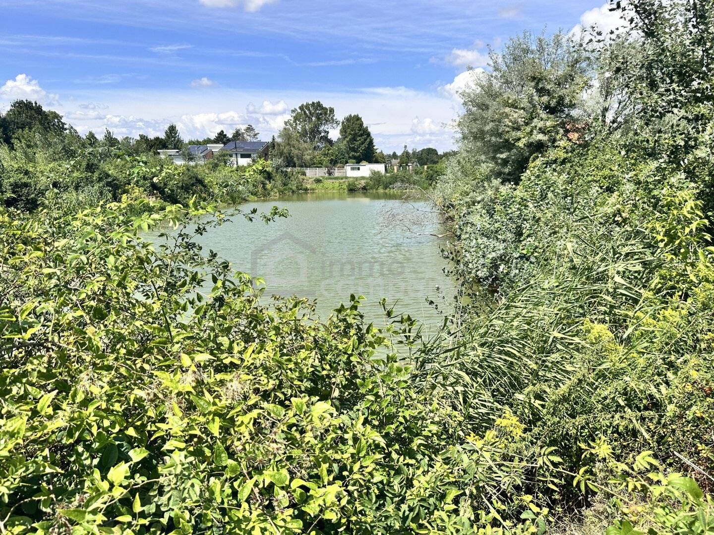 Grünland-Grundstück mit Fischteich in Prellenkirchen, 18.064 m²