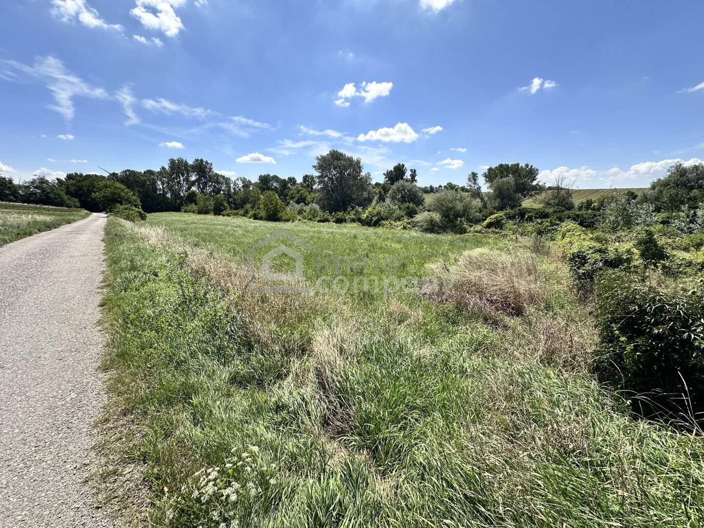 Grünland-Grundstück mit Fischteich in Prellenkirchen, 18.064 m²