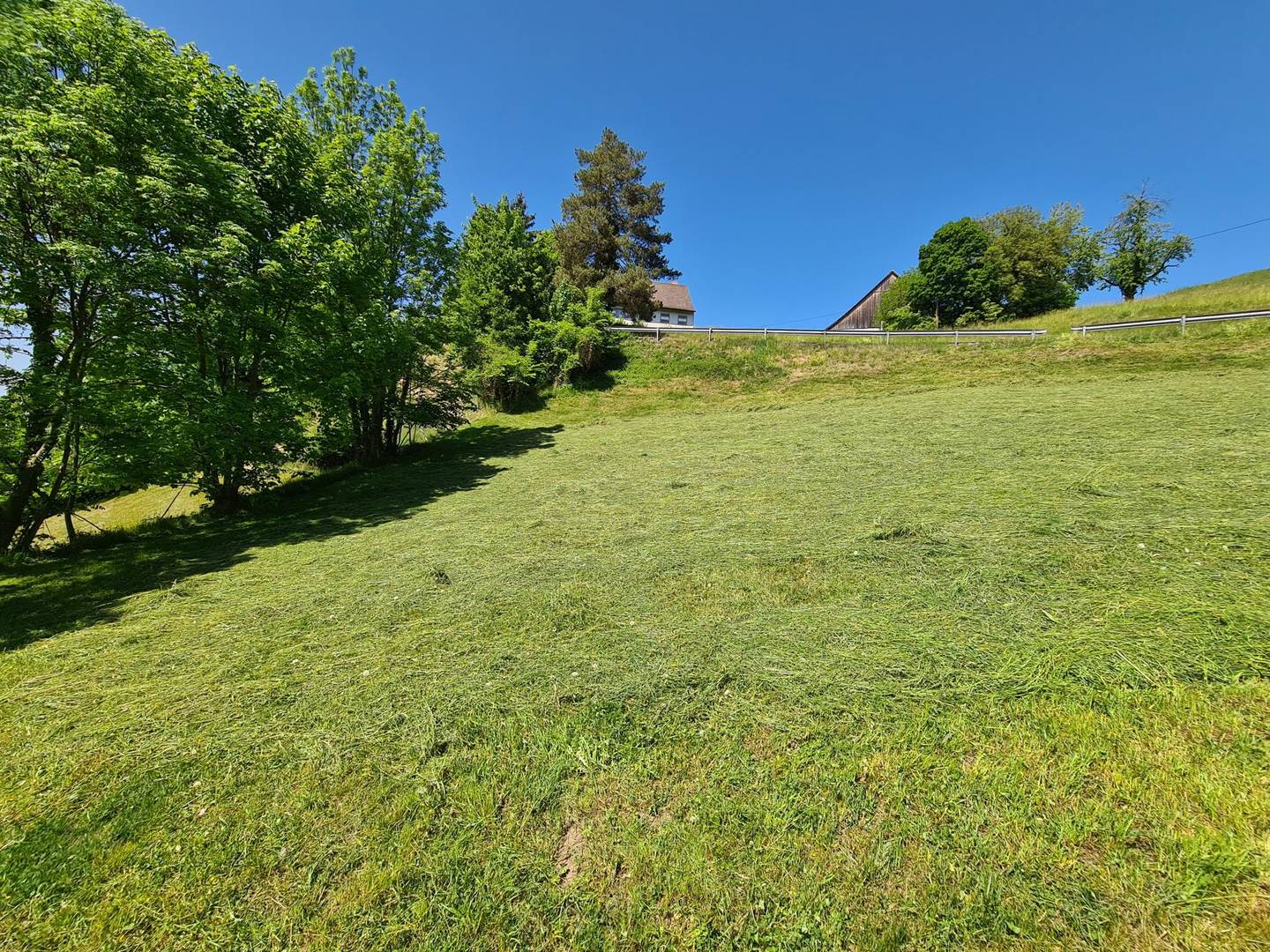 Hanggrundstück mit Panoramablick in Zwischenwasser-Batschuns 1.450 m²