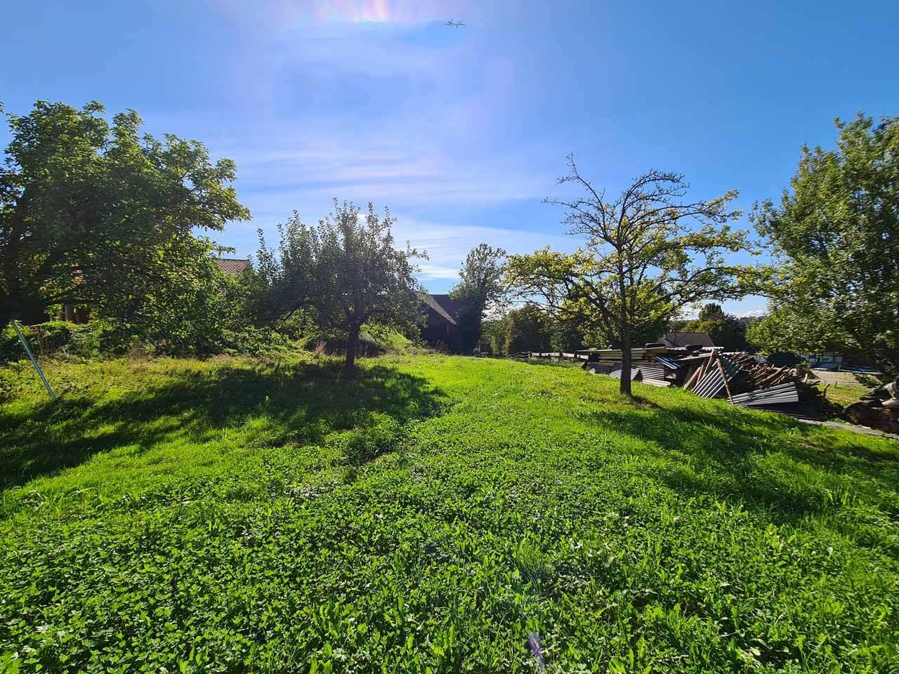 Hörbranz: Baugrundreserve mit Altbestand, 1.419 m², Grenznähe