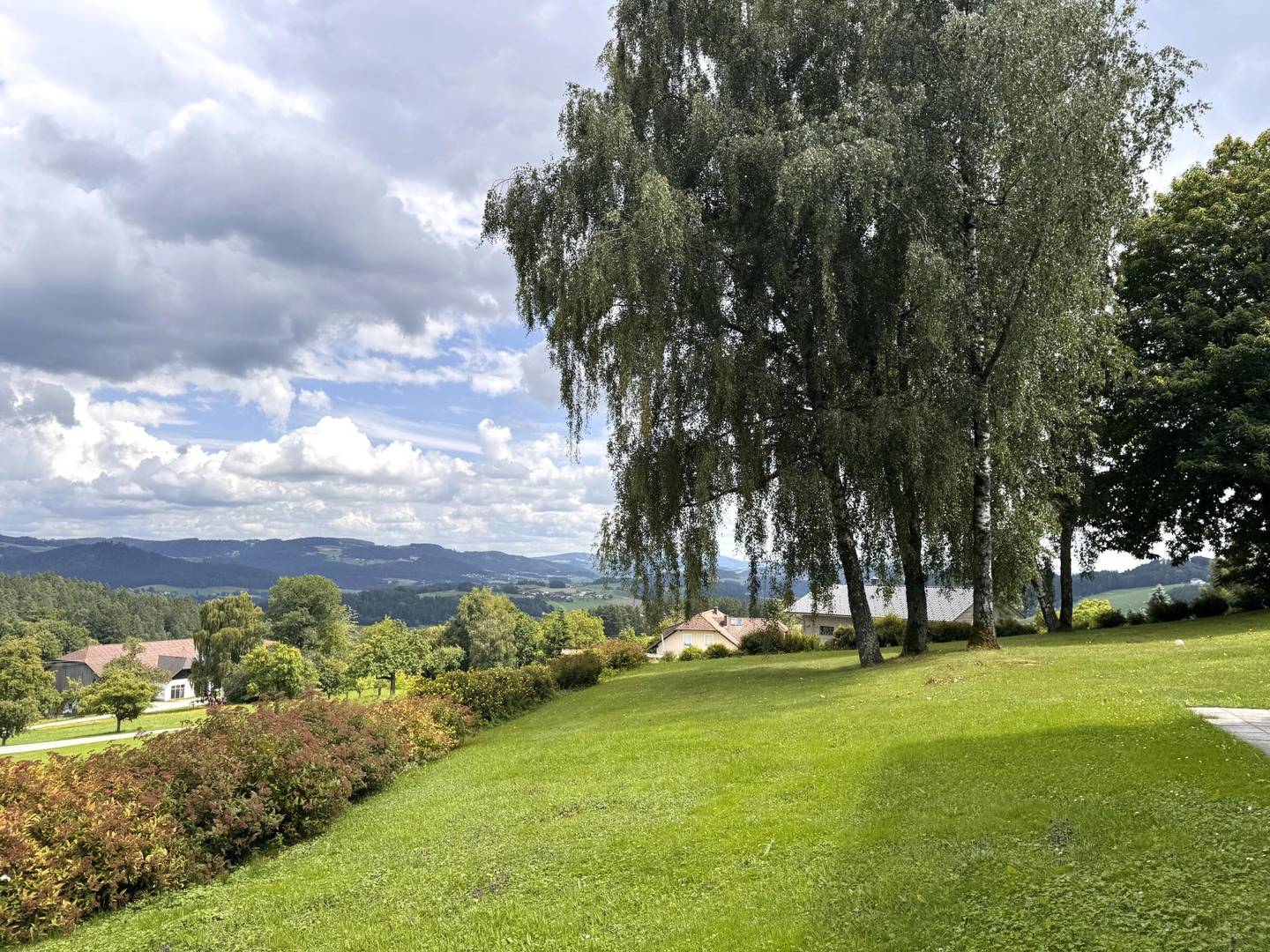 Apartment in quiet green setting near center with garden