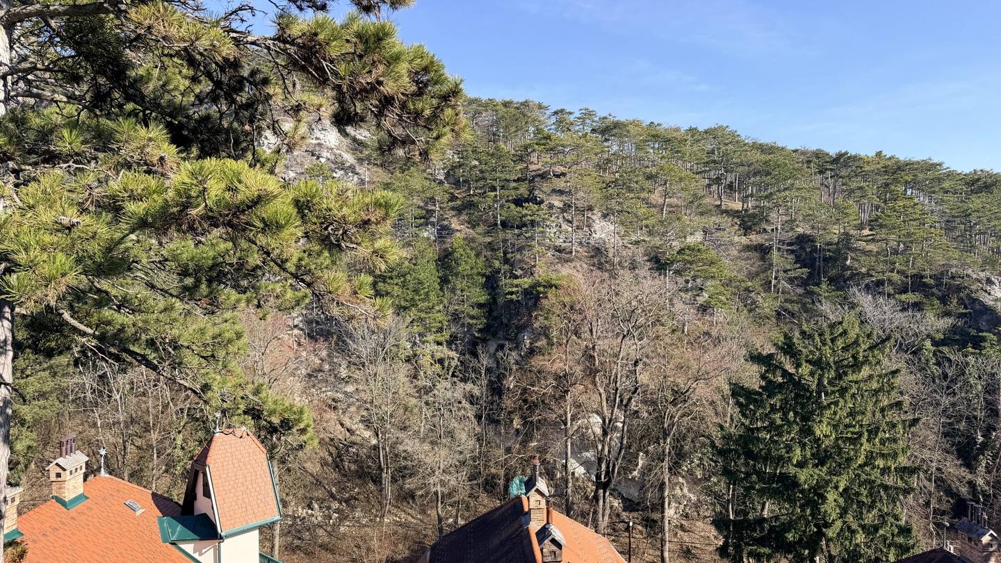 Jagdvilla from 1910 - fully renovated - top quiet location - 10 minutes walk to Baden city center