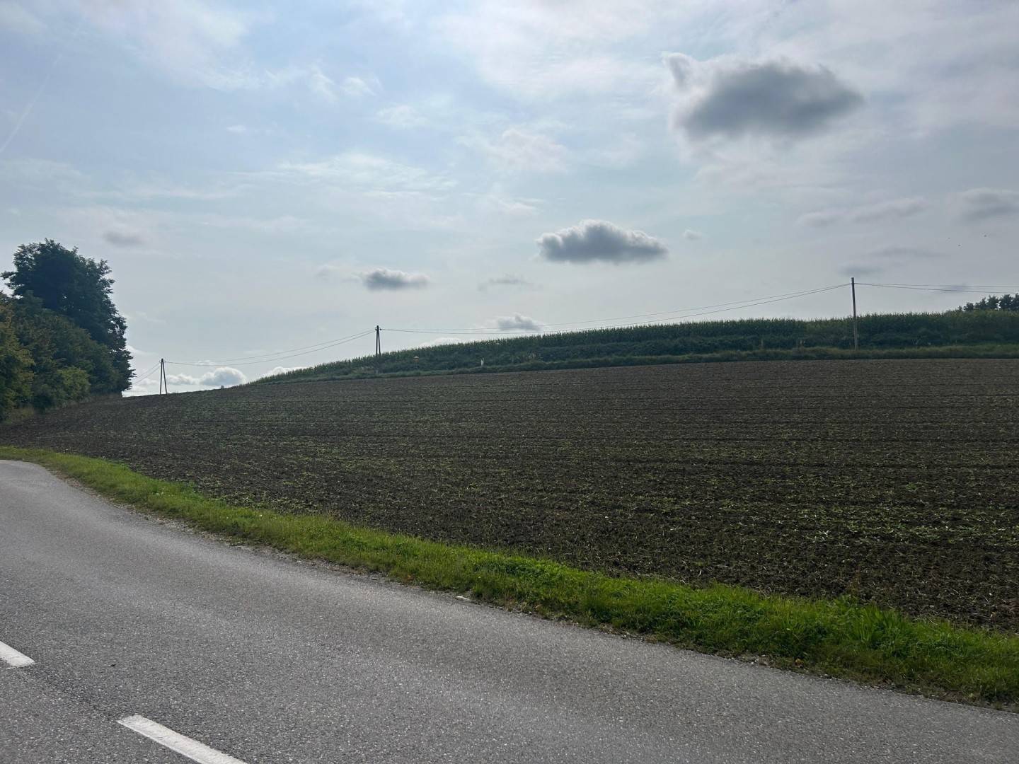 Gewerbegrundstück mit MB-Widmung direkt an der B 137 in Krenglbach
