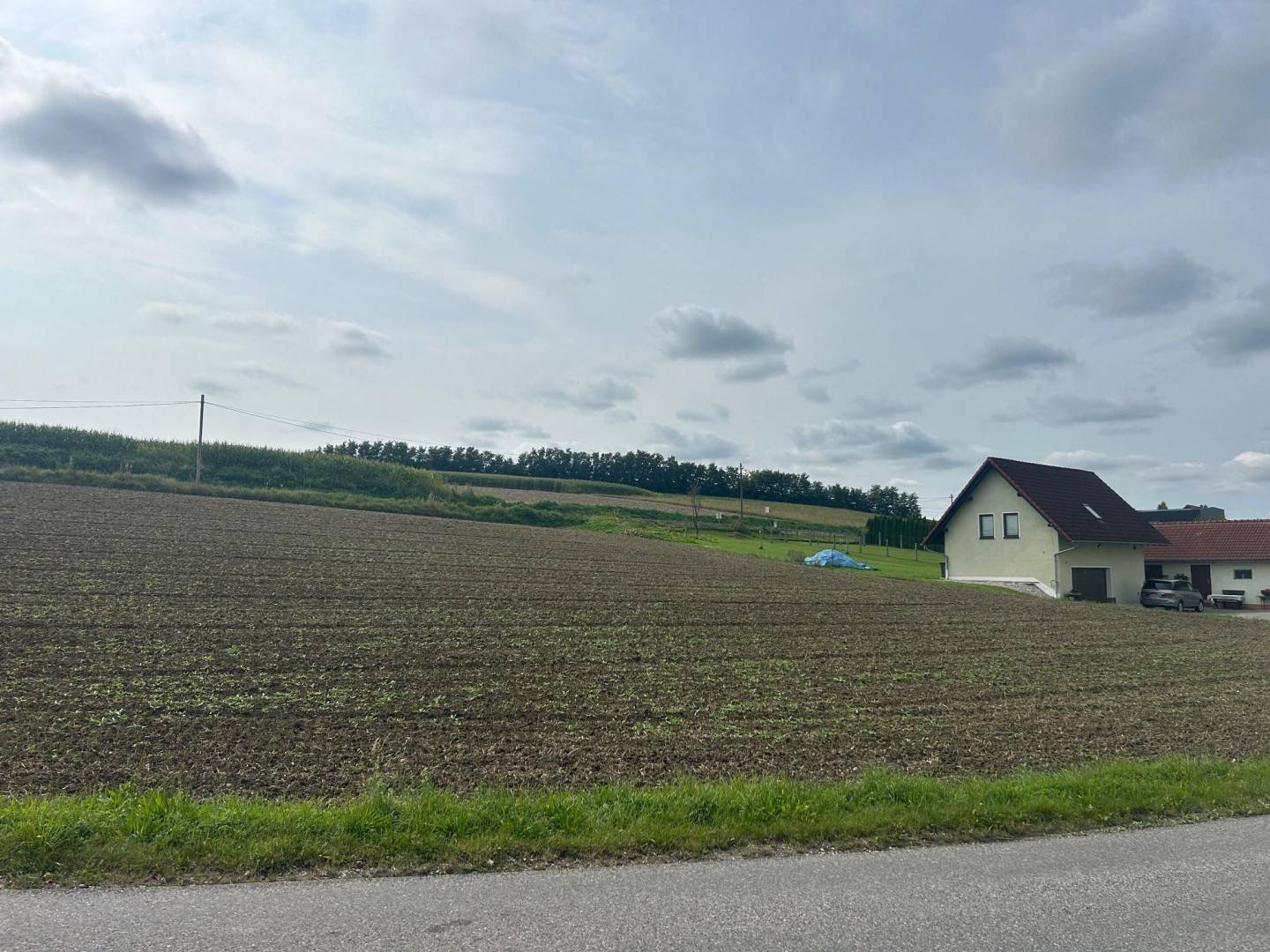 Gewerbegrundstück mit MB-Widmung direkt an der B 137 in Krenglbach