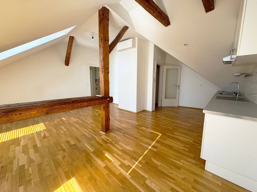 Attic apartment with elevator and historic flair