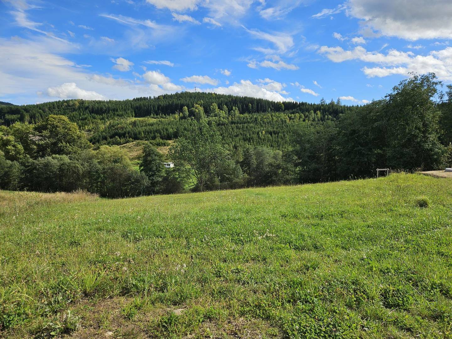 Baugrund in Siedlungslage am Ortsrand Weitersfelden - sonnig, 945 m²