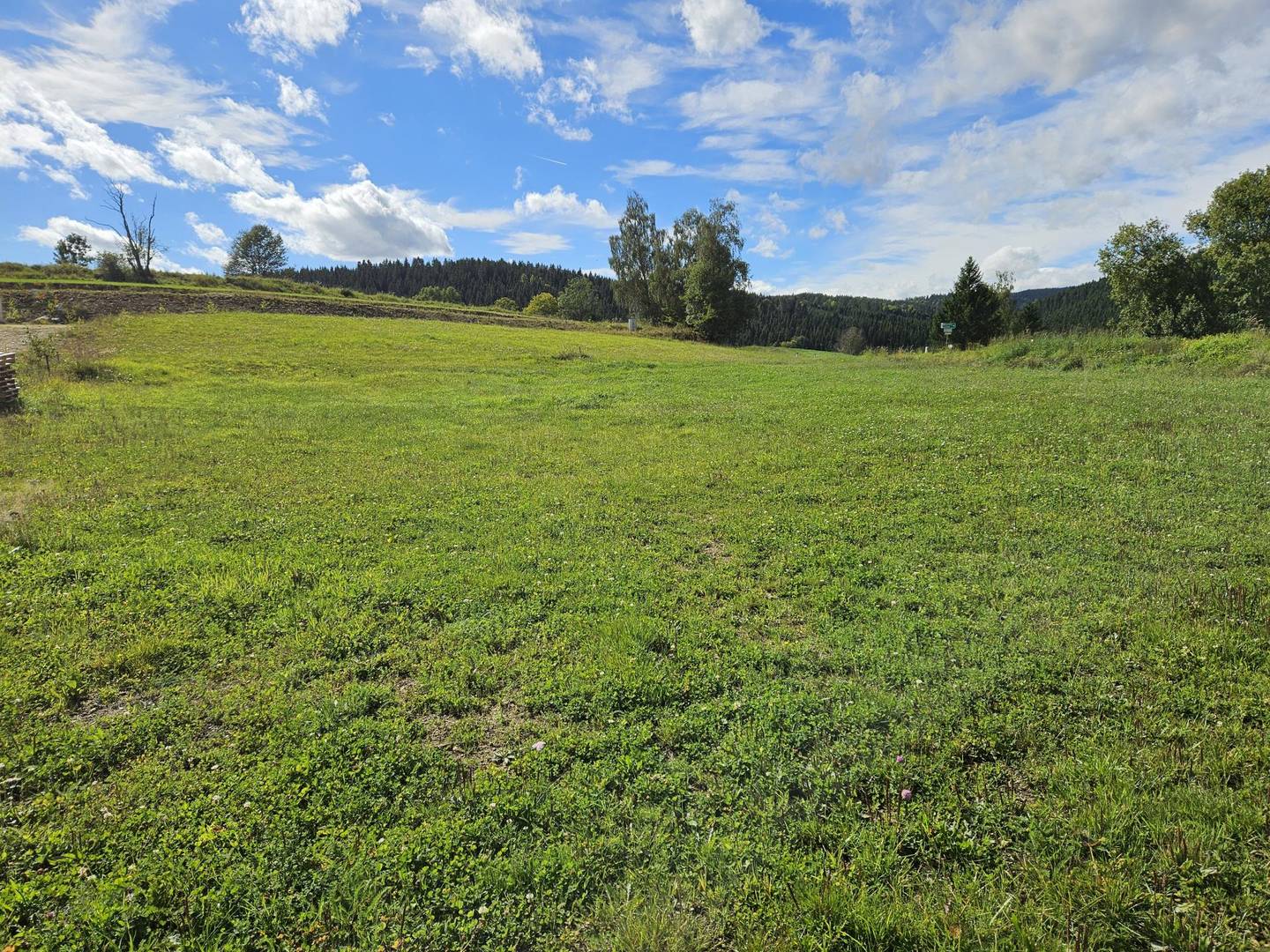 Sonniger Baugrund in Siedlungslage am Ortsrand von Weitersfelden