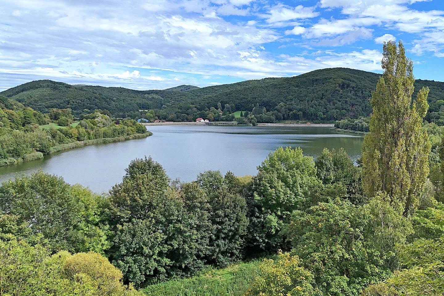 Investition in Toplage am Bartberg: 13 Parzellen am Wienerwaldsee - Aufschließung bezahlt!