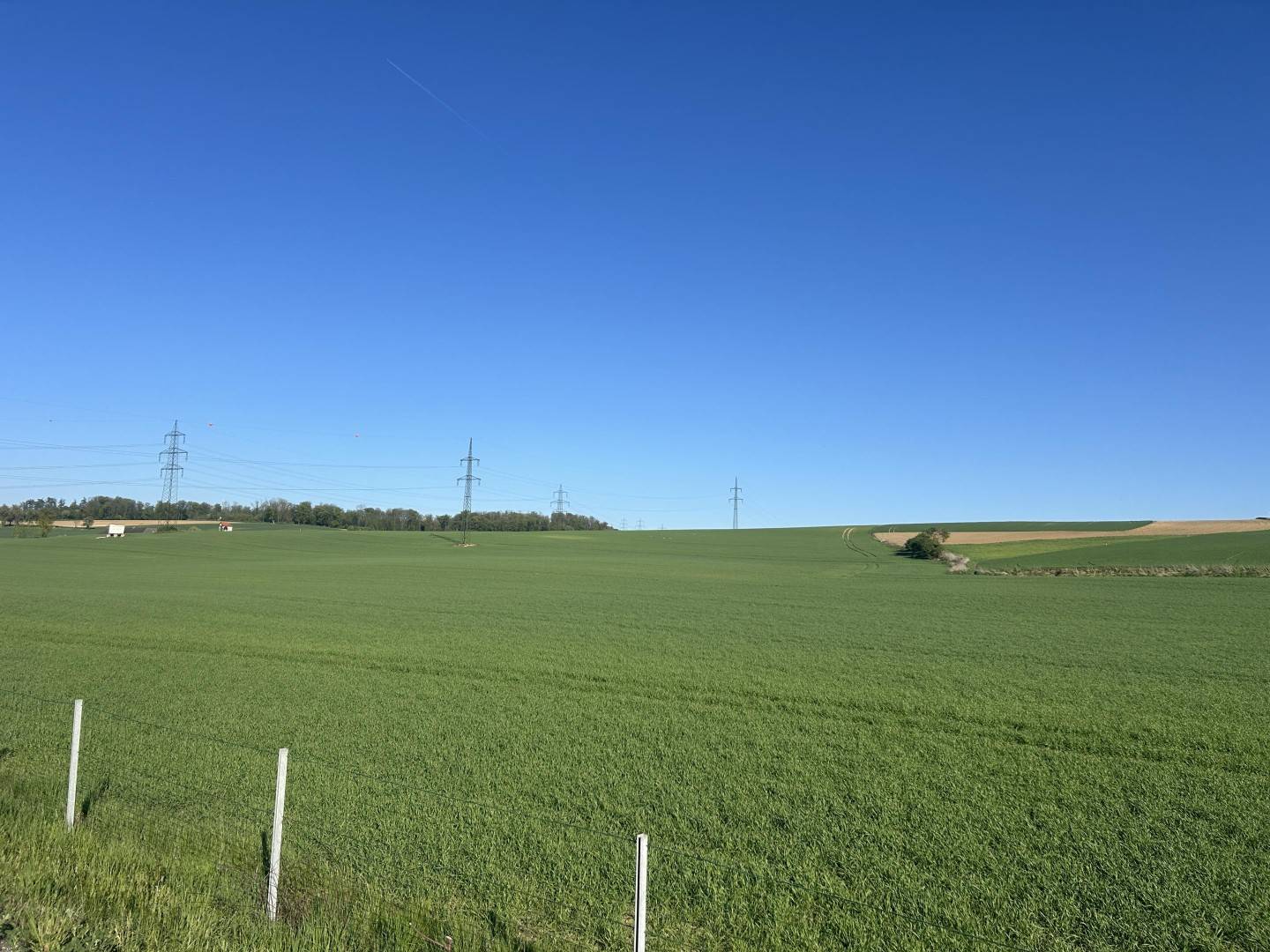 Grünland   FÜR Ackerbau  mit einer leichten Widmungsfantasie   17 Hektar