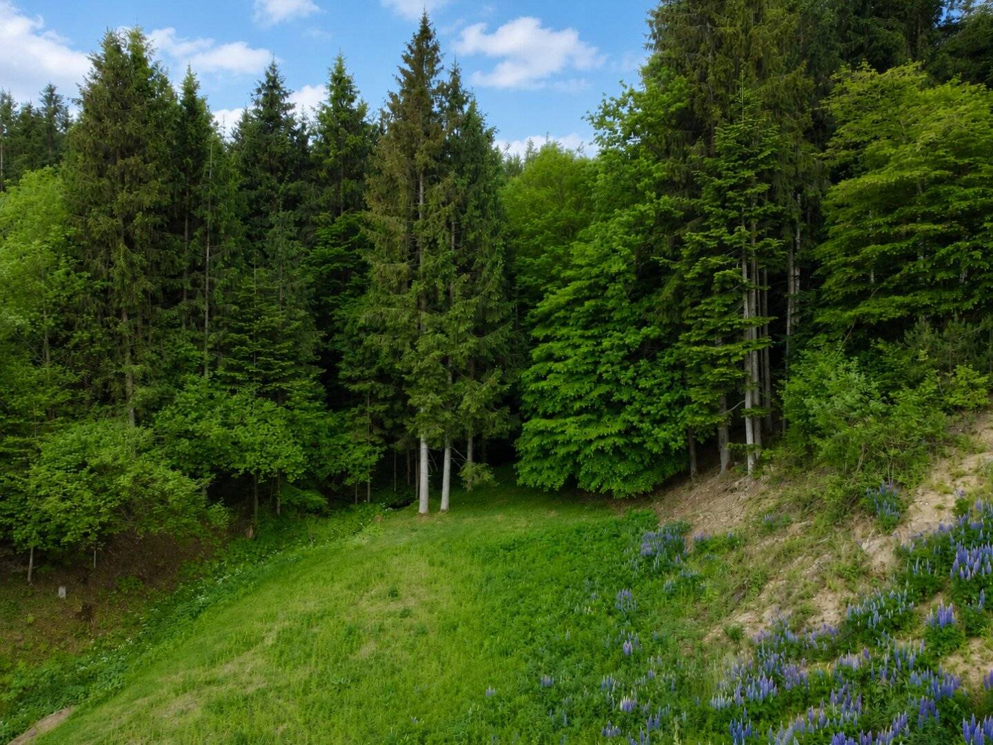 Baugrund Eigenheim in Krumpendorf am Wörthersee – 2268 m², Kärnten