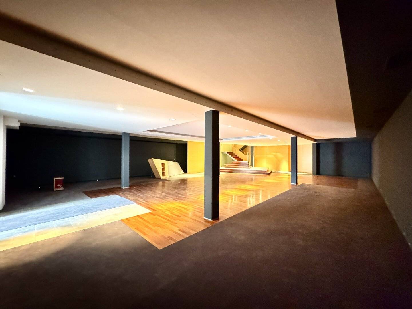 NEW! Extensively usable commercial space for rent at Nußdorferplatz? wait the question mark appears? We'll fix. Actually ensure no question marks.