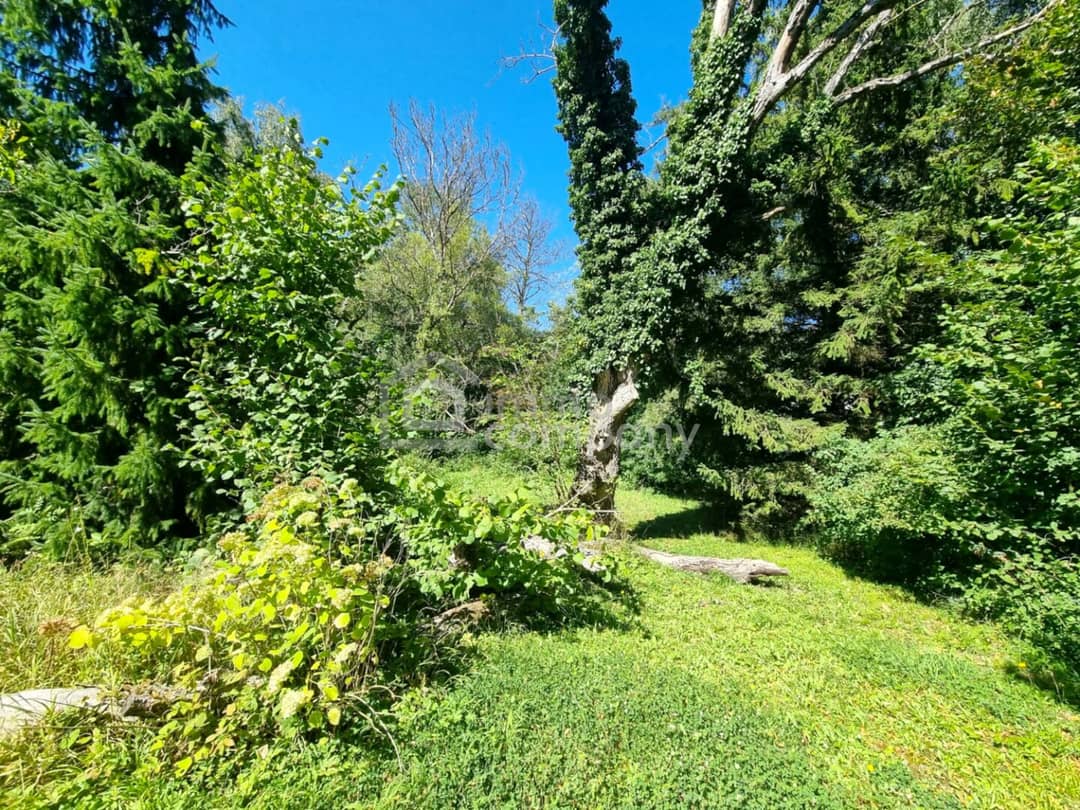 Immobilienbild 3