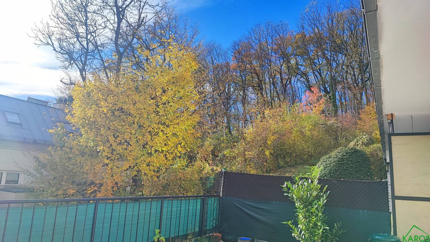 Anlegerwohnung nahe Pötzleinsdorfer Schlosspark