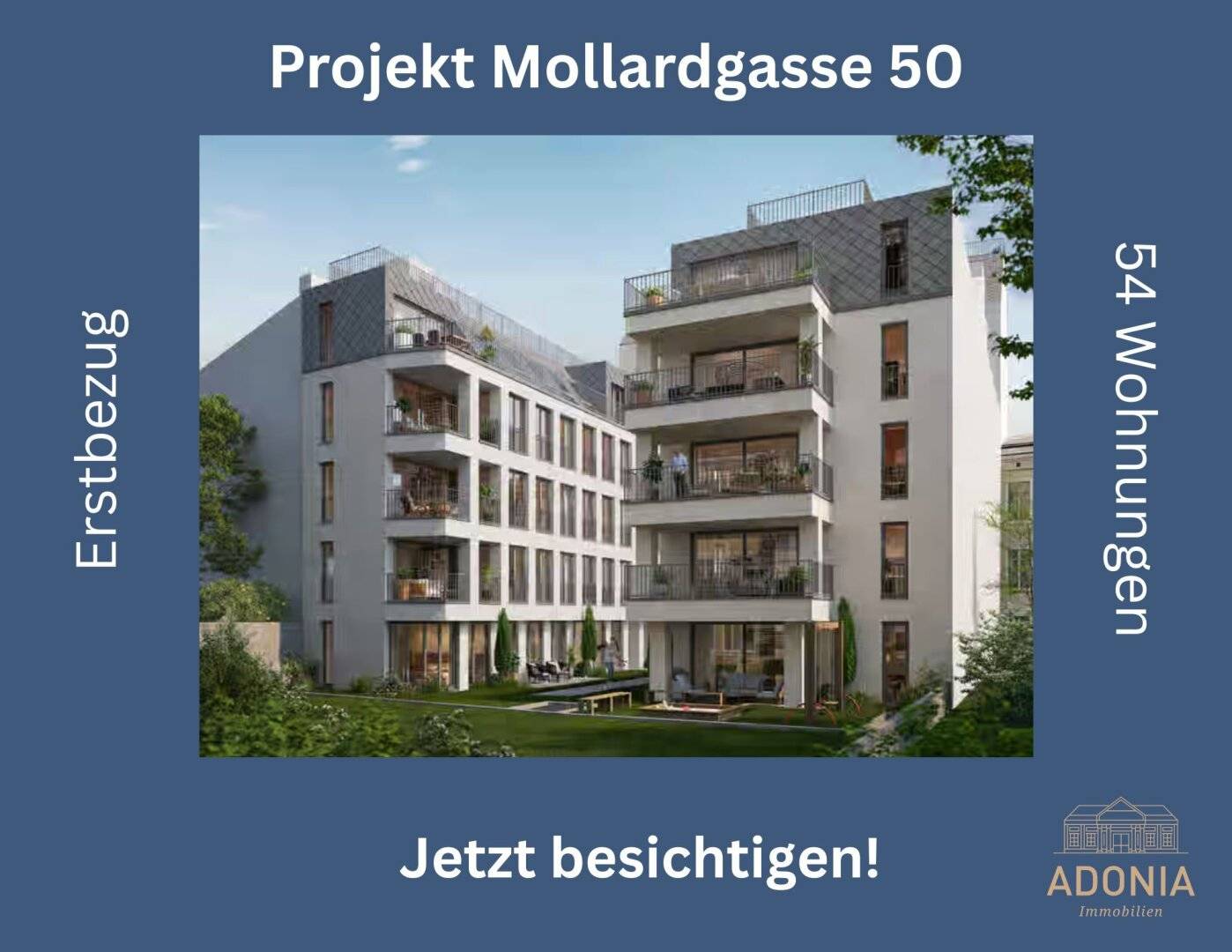 MOLLARD 50