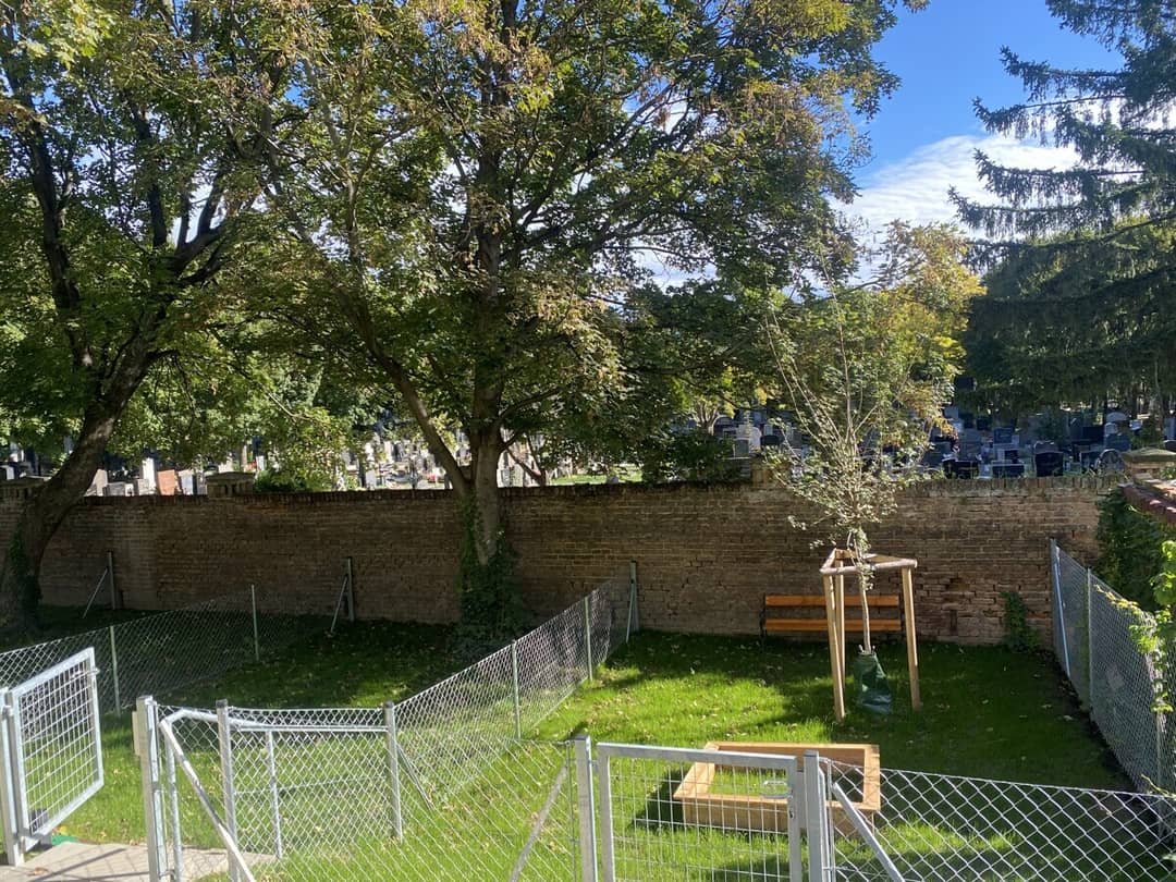 Gartenparzelle