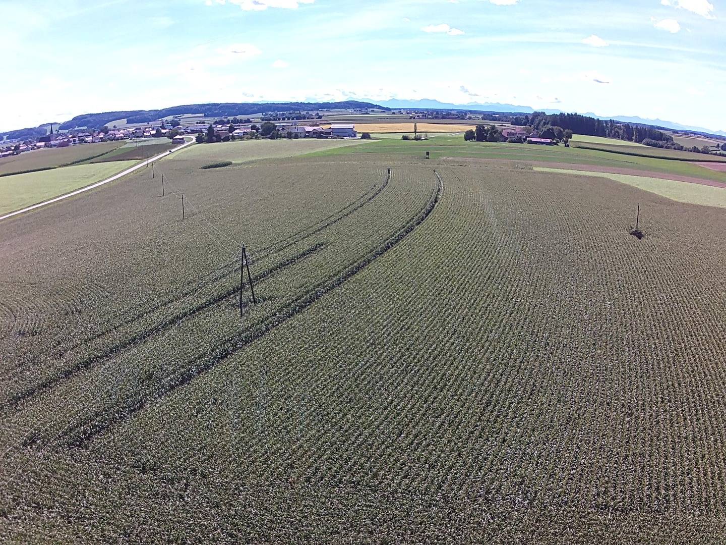 Große Ackerfläche in Schwand im Innkreis – 115.082 m², gute Anbindung