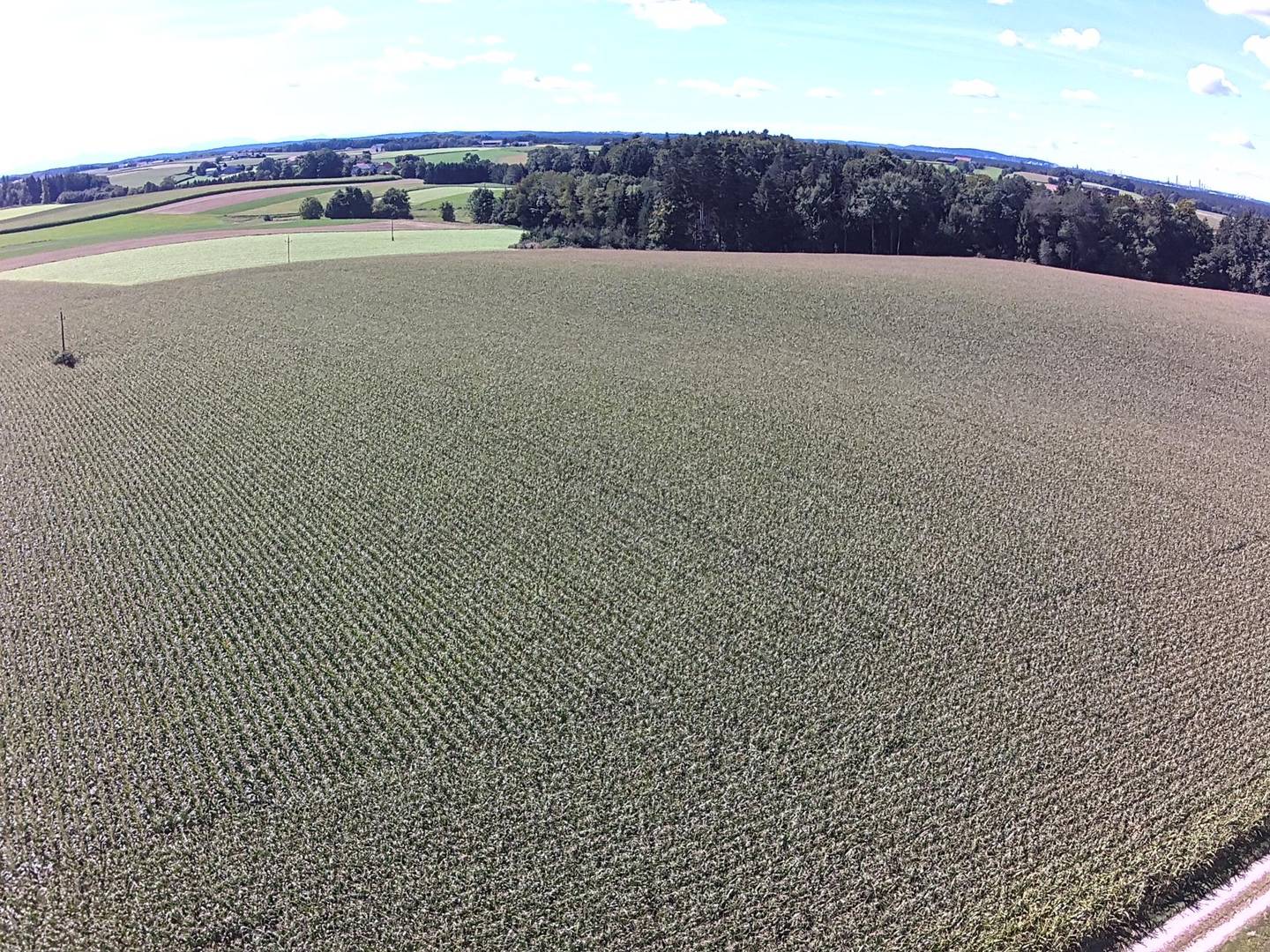 Große Ackerfläche in Schwand im Innkreis – 115.082 m², gute Anbindung