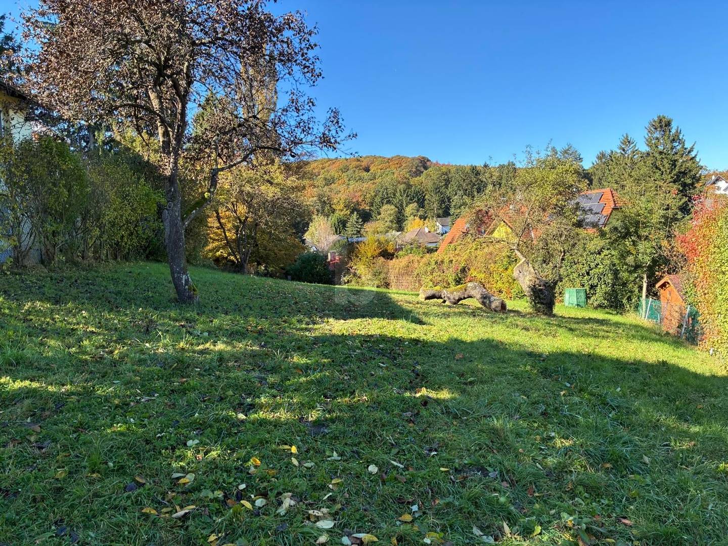 Ruhig gelegen Familienwohnung mit Berg und Waldblick