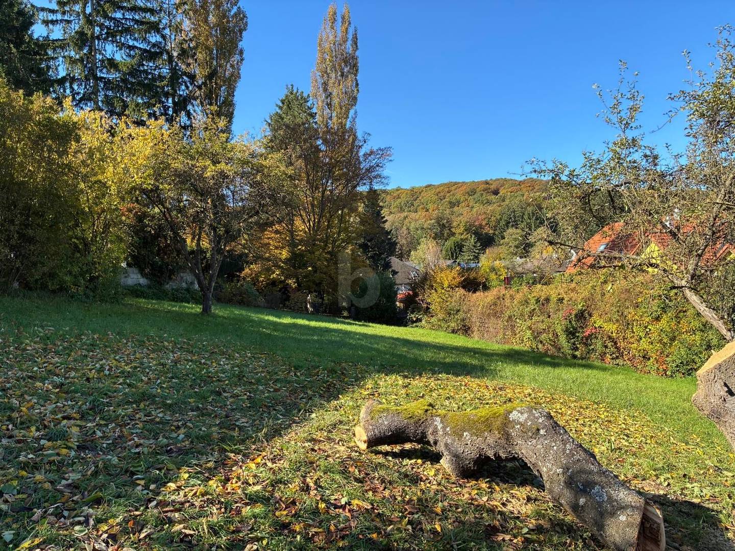 Ruhig gelegen Familienwohnung mit Berg und Waldblick