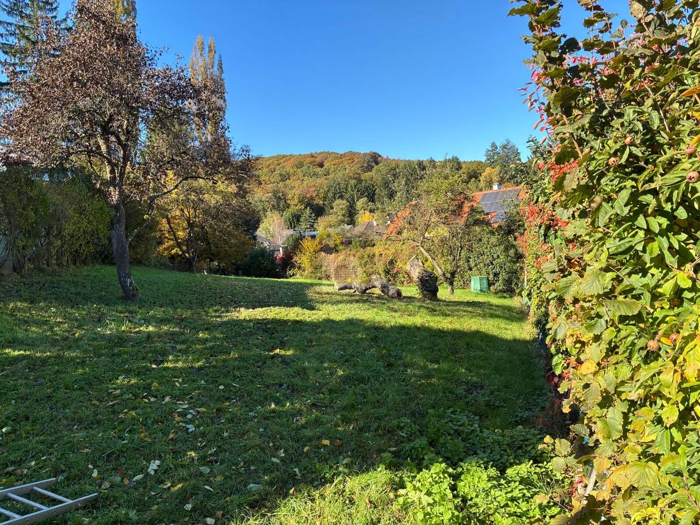 Ruhig gelegen Familienwohnung mit Berg und Waldblick