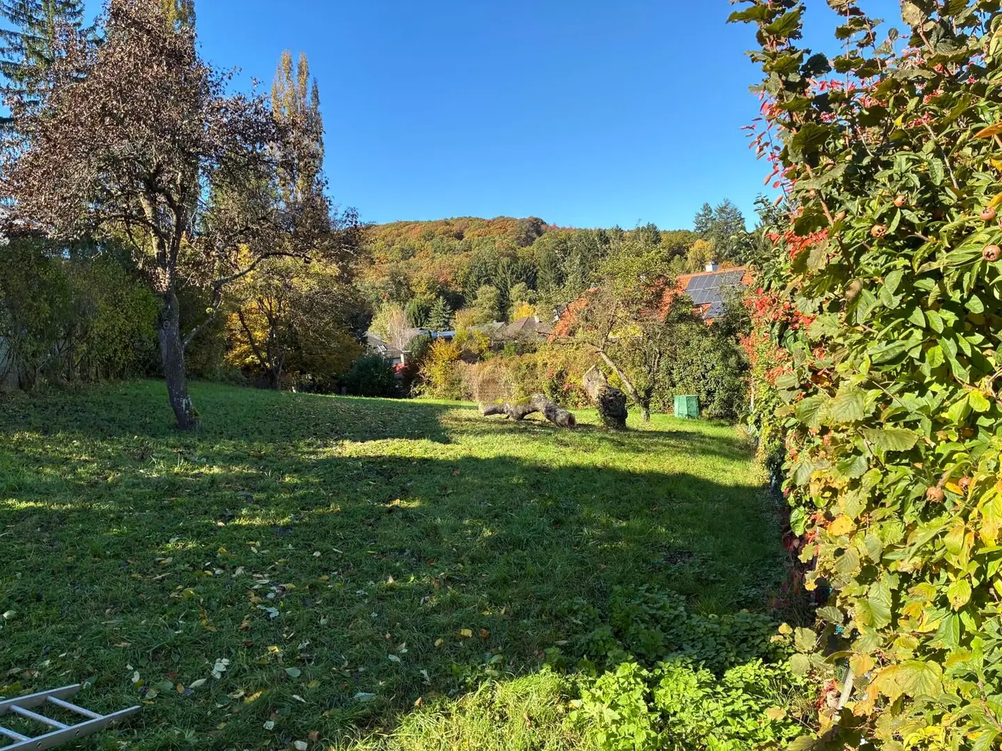 Family apartment with mountain and forest view in a quiet location