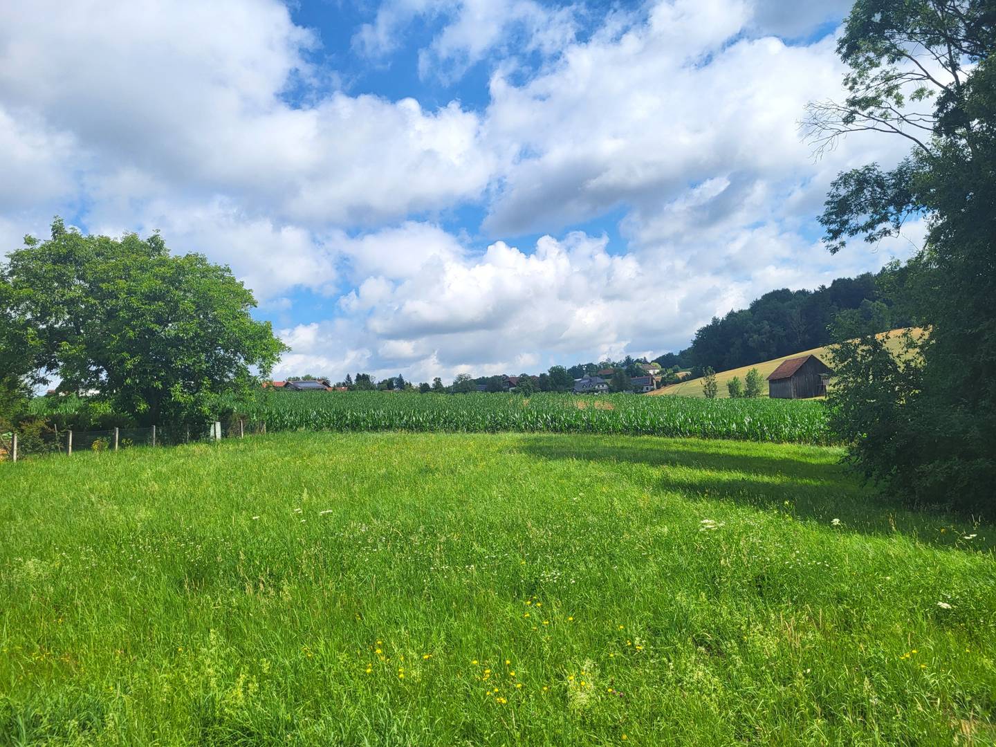 Baugrundstück in Aschach an der Steyr, ca. 1.575 m², flexibel nutzbar
