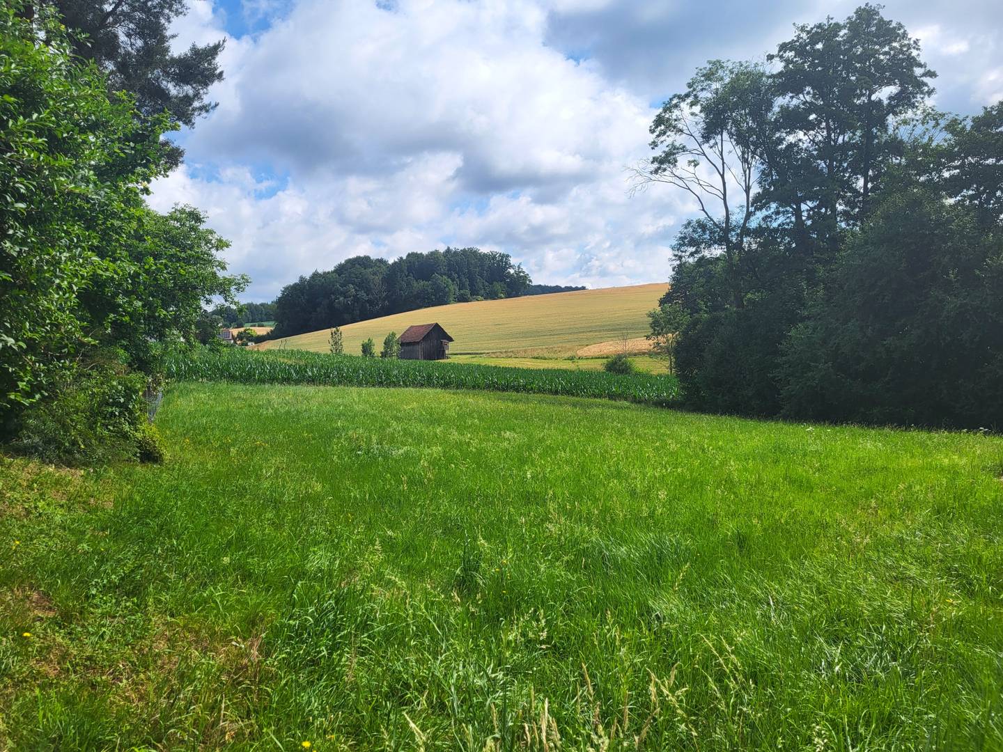 Baugrundstück in Aschach an der Steyr, ca. 1.575 m², flexibel nutzbar