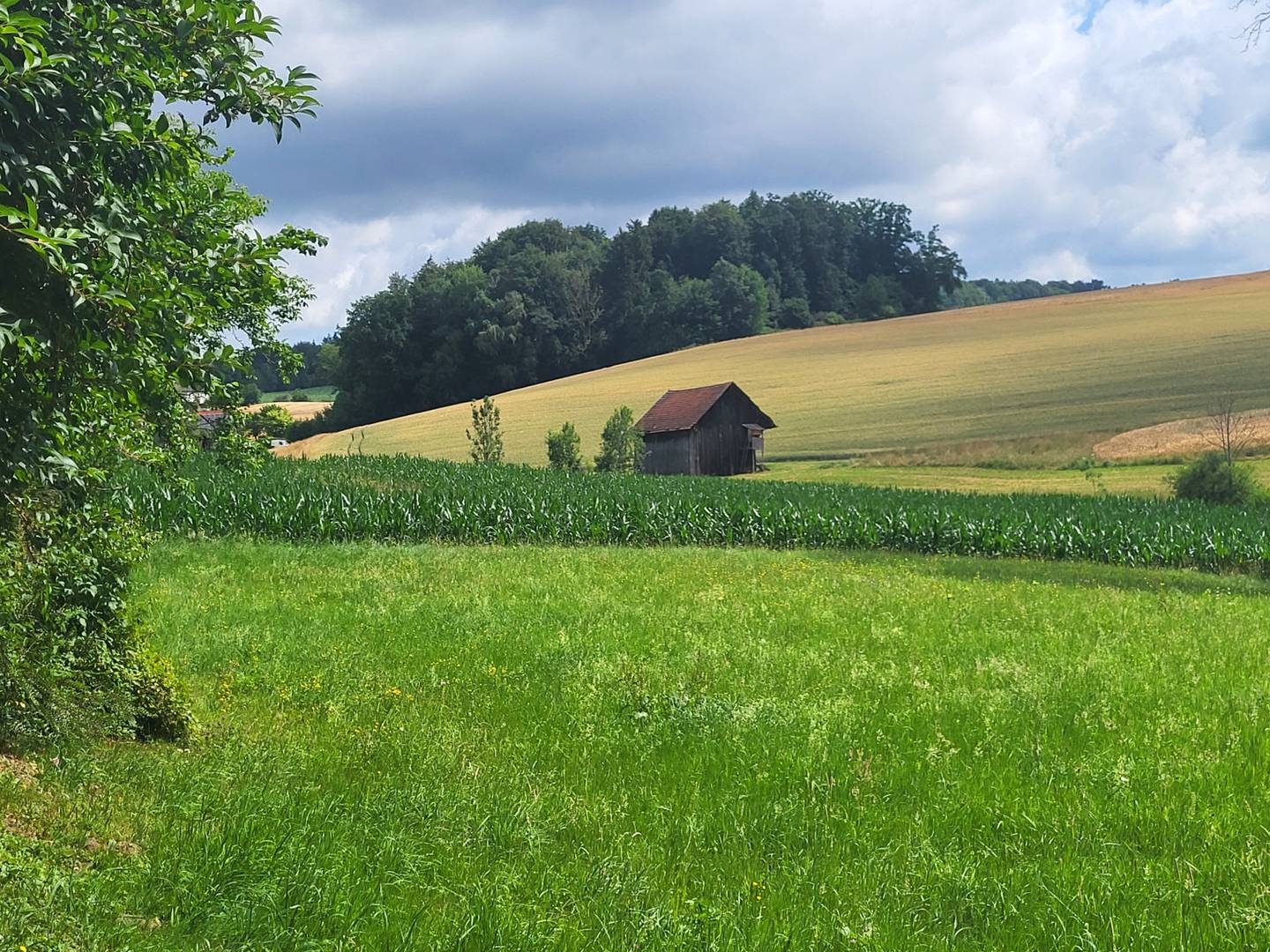 Baugrundstück in Aschach an der Steyr, ca. 1.575 m², flexibel nutzbar