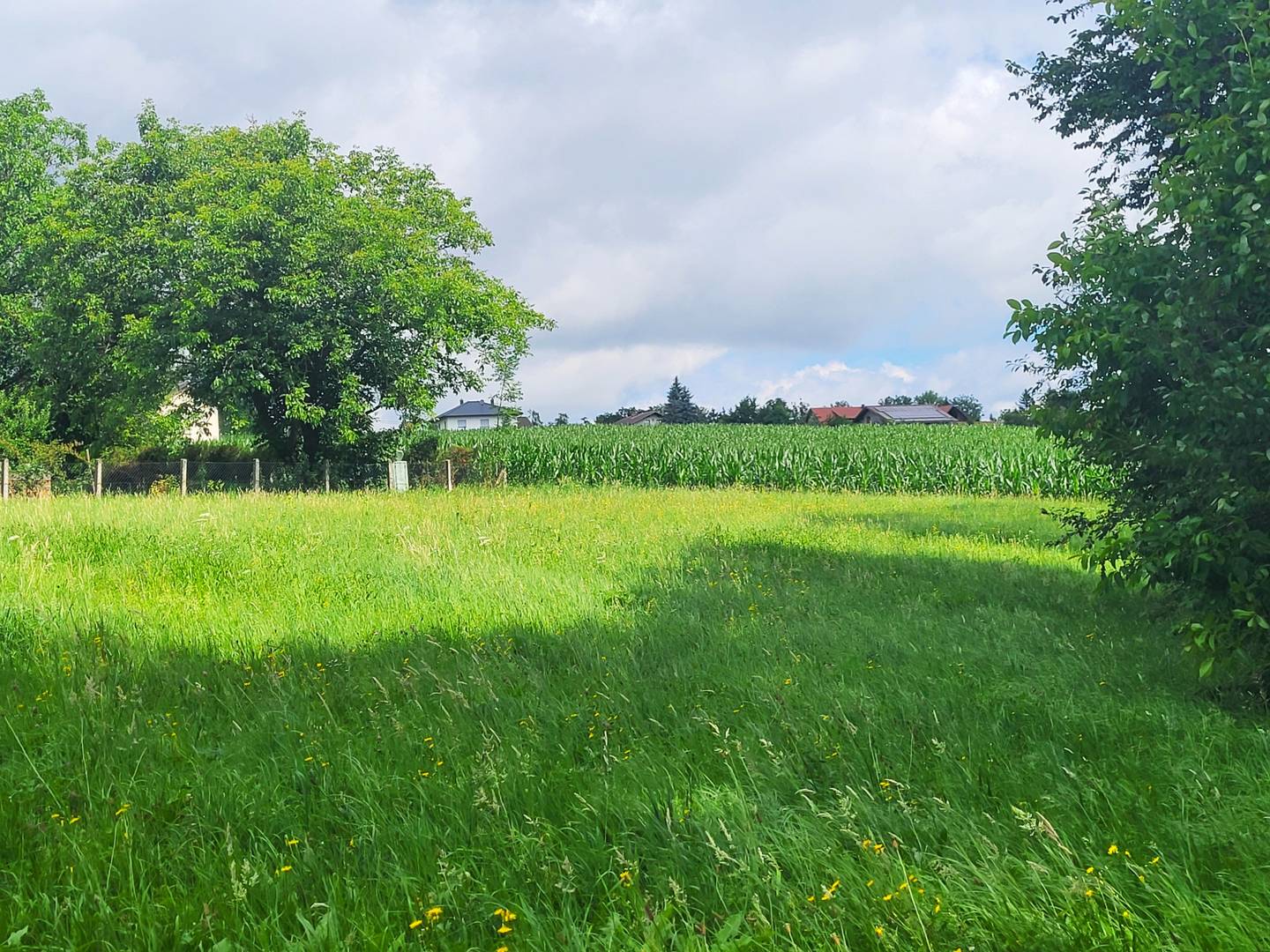 Baugrundstück in Aschach an der Steyr, ca. 1.575 m², flexibel nutzbar