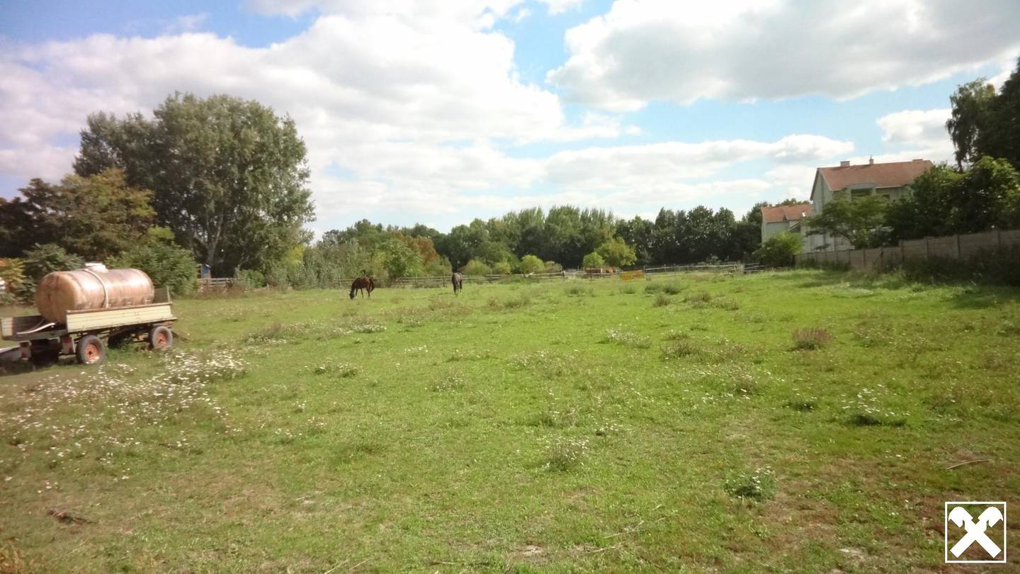 Großes Baugrundstück in Gols, 5.000 m², mit Bebauungspotenzial