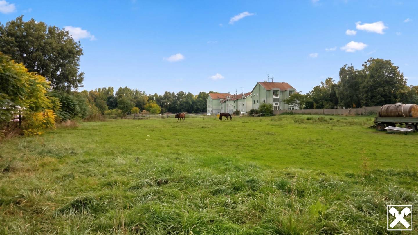 Großes Baugrundstück in Gols, 5.000 m², mit Bebauungspotenzial