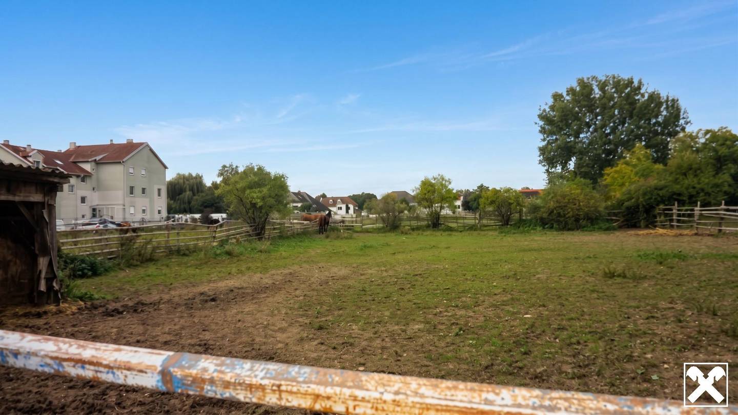 Großes Baugrundstück in Gols, 5.000 m², mit Bebauungspotenzial