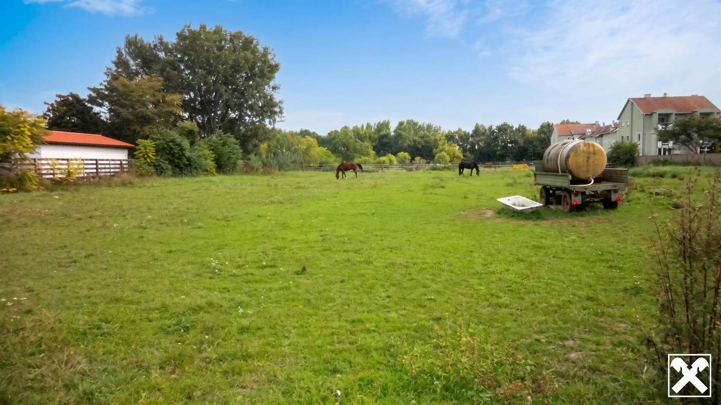 Großes Baugrundstück in Gols, 5.000 m², mit Bebauungspotenzial