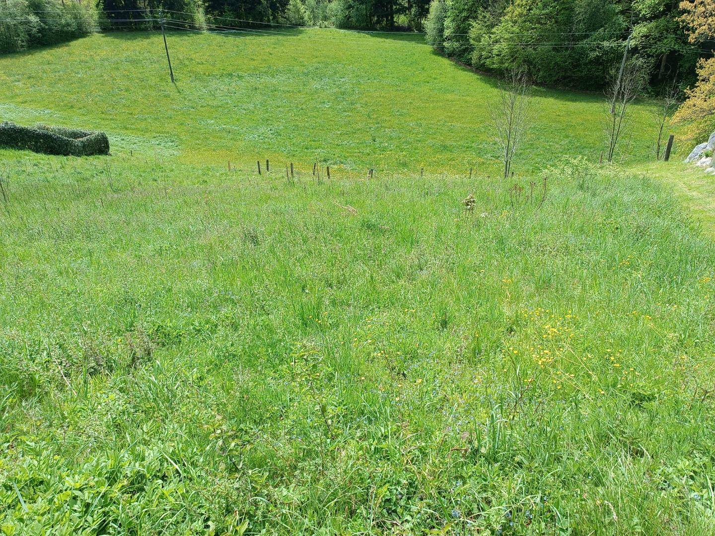 Sonniges Hanggrundstück in St. Konrad – Ruhige Lage mit Potenzial