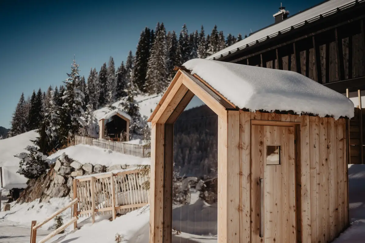 Birgkar - Mountain Hideaway Lodge 2 - Holunder