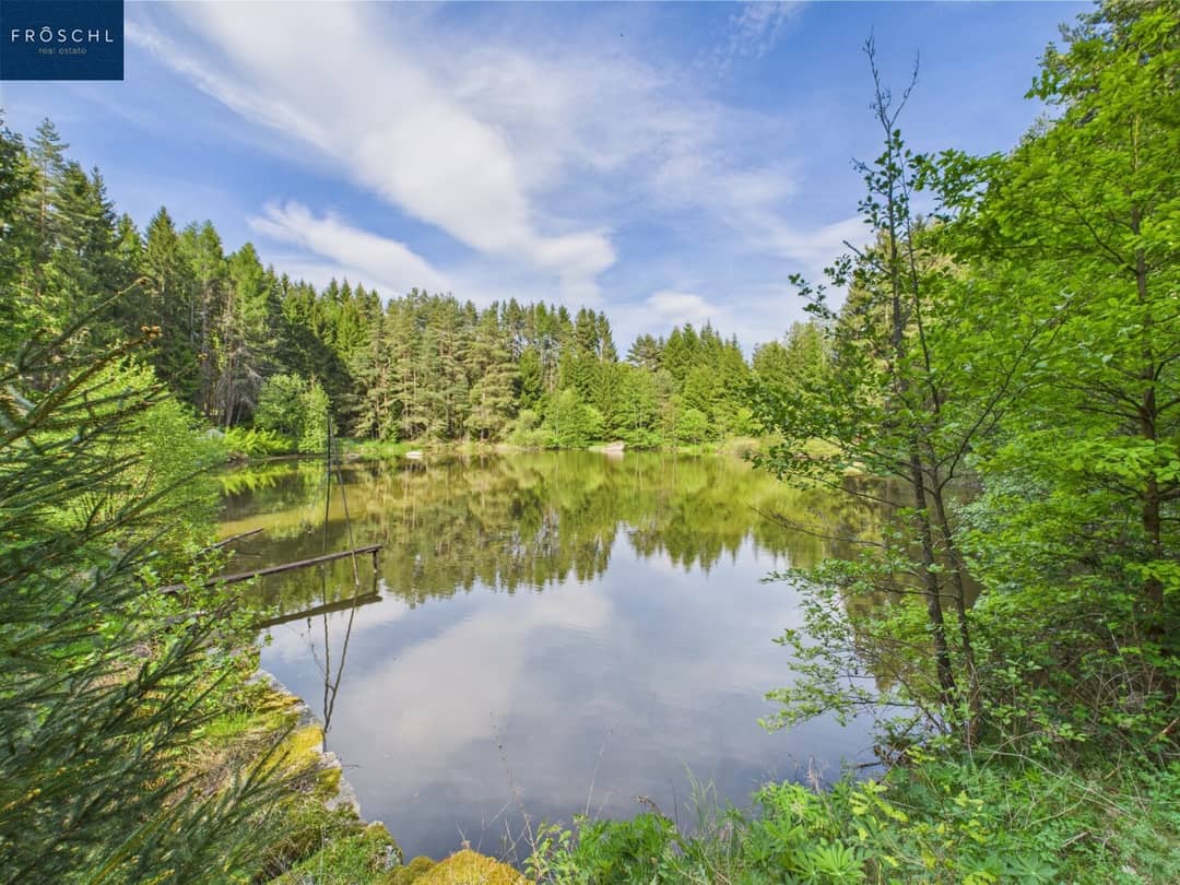Teich-/Fischzuchtanlage im nördlichen Waldviertel, ca. 4,3 ha