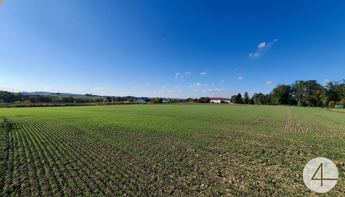 Stilvolles Einfamilienhaus im Chalet-Stil in Hohenzell, 120 m²