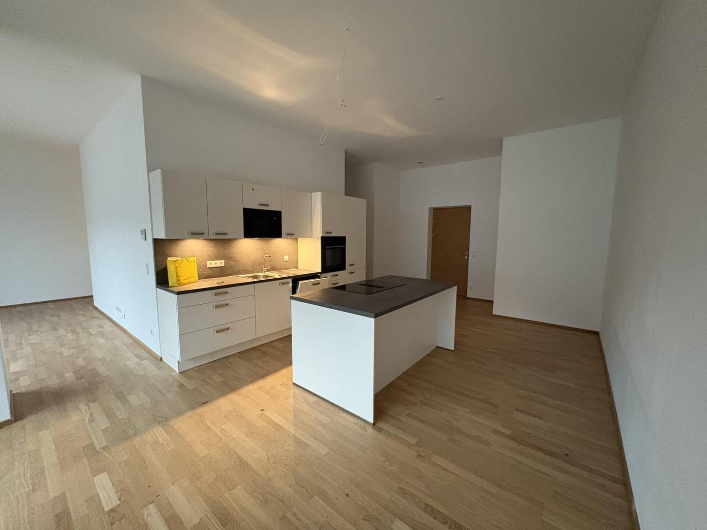First occupancy apartment near station modern style