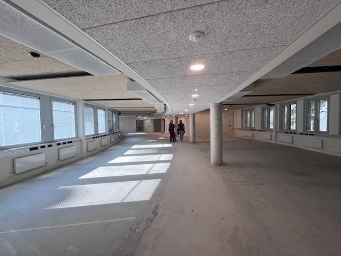 Top Büroflächen im Pharos haus zu mieten