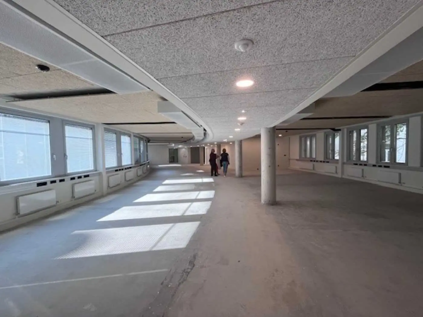 Top Büroflächen im Pharos haus zu mieten