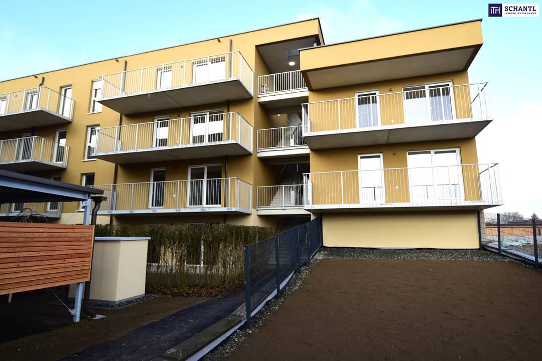 Penthouse mit riesiger Dachterrasse und Bergblick