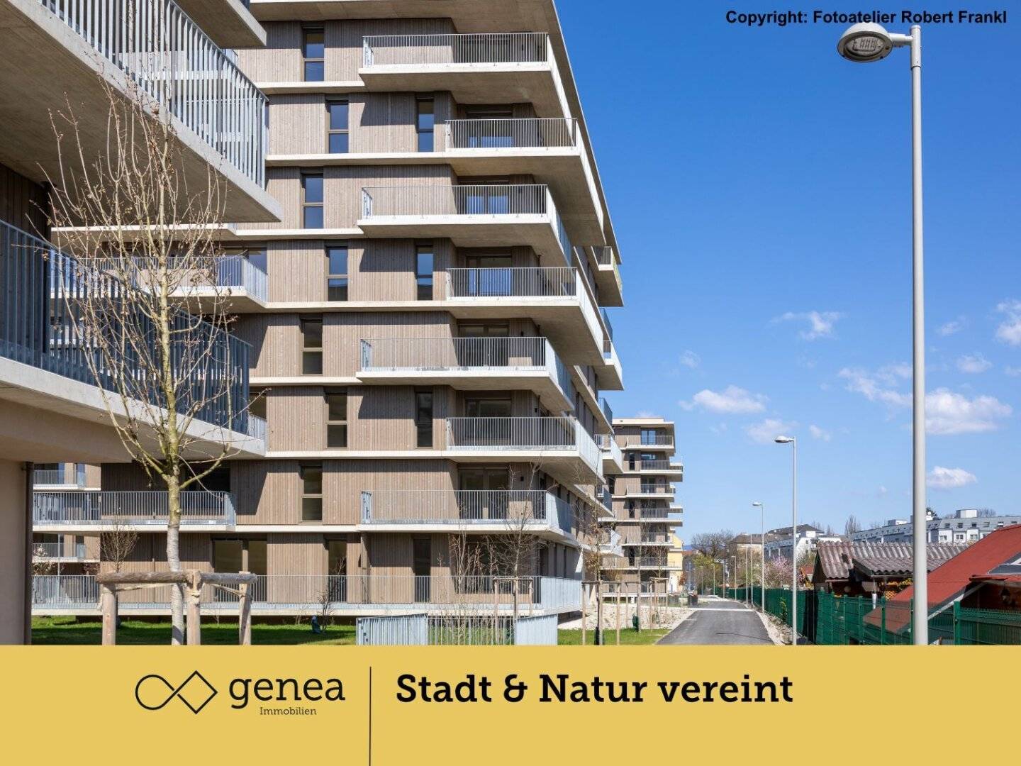 Immobilienbild 4