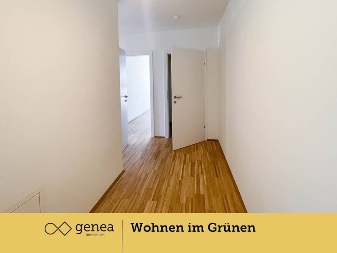 Immobilienbild 4