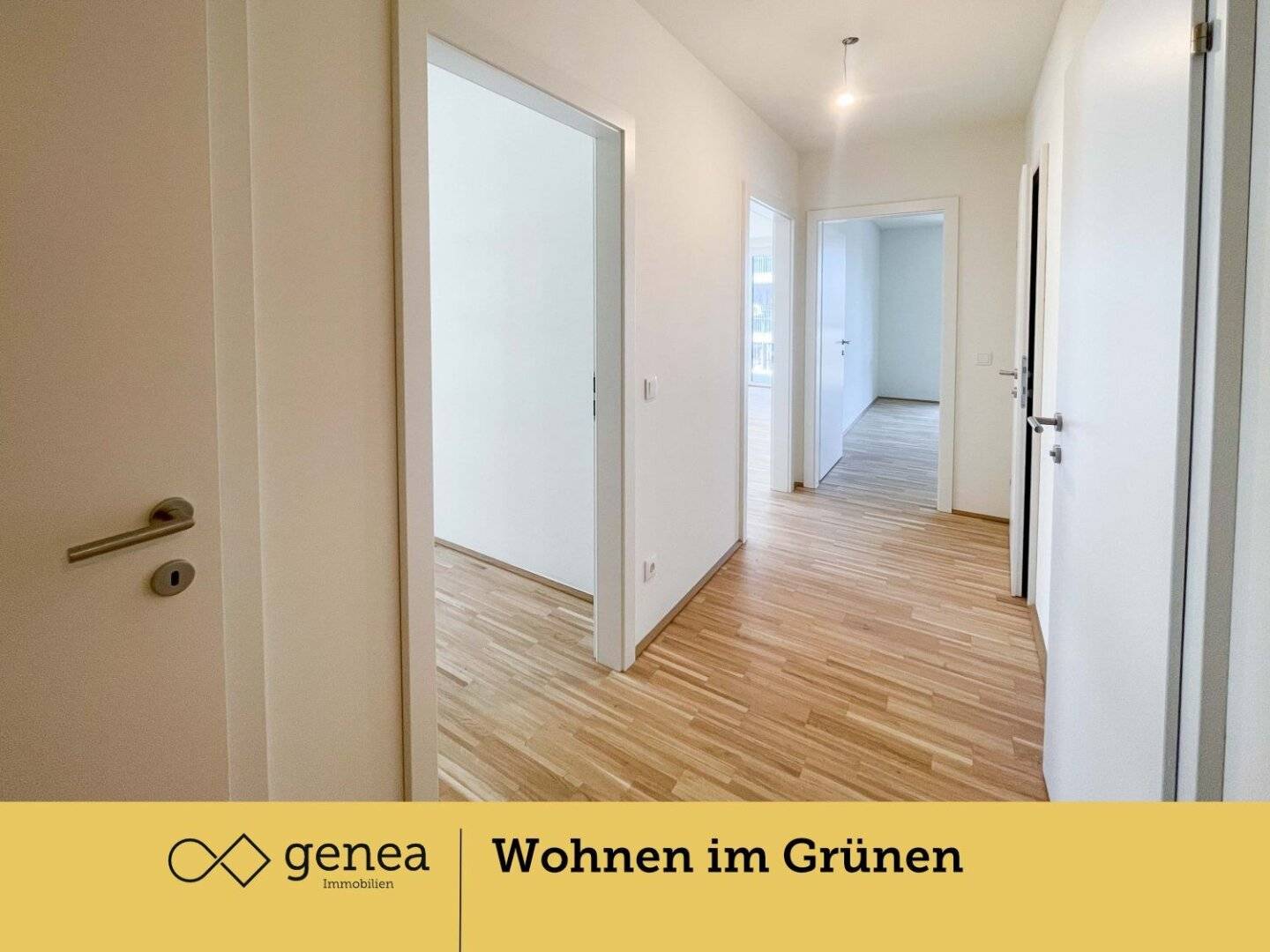 Immobilienbild 4
