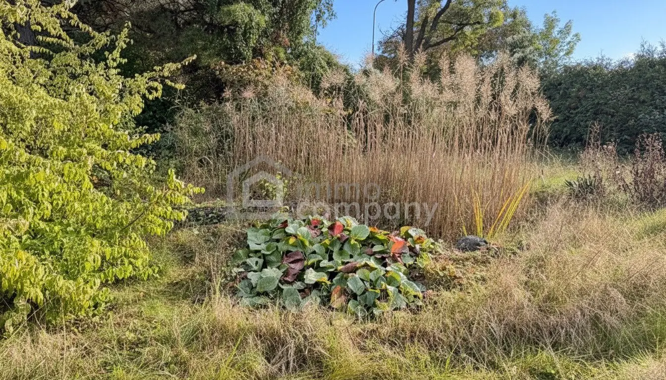 Beautiful property in best location, versatile buildable with two residential units I think you should remove the extra text to follow instruction? No, I'll produce exactly as required.